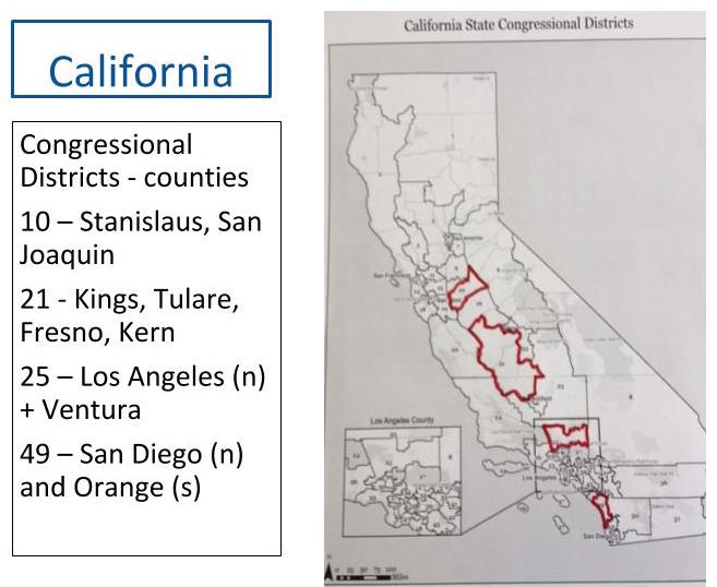 Electoral & Voting Rights